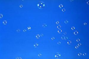 樹木葬ができる墓苑を探しているなら