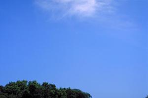 静岡県浜松市の家族葬専門斎場【家族葬のタクセル豊町】：高品質で低価格な家族葬サービスの詳細と特徴