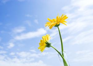 富士市松岡にある安心の葬儀・家族葬を提供する【富士葬祭 富士松岡】の詳細情報と特徴