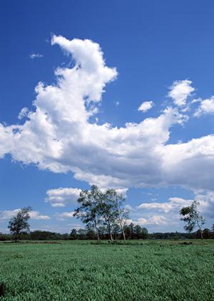 香典返しにはお菓子がぴったりです