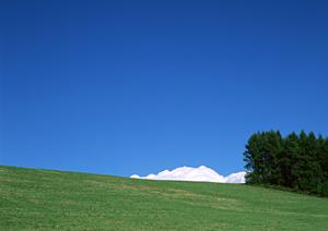 静岡市清水区の信頼と実績を誇る家族葬専門斎場|家族葬のタクセル東大曲の特徴とサービス内容