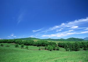 静岡県焼津市の安心・信頼の葬儀サービス|富士葬祭 焼津の特徴と詳細情報