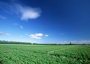 栃木県大田原市の信頼の葬儀場:さがみ典礼 大田原若松町の概要と特徴