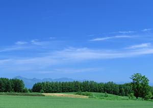 静岡市清水区の家族葬に最適な小規模葬儀場【富士葬祭 折戸】の特徴とサービス内容