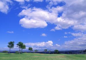 近年話題の永代供養墓は東京の東長寺で