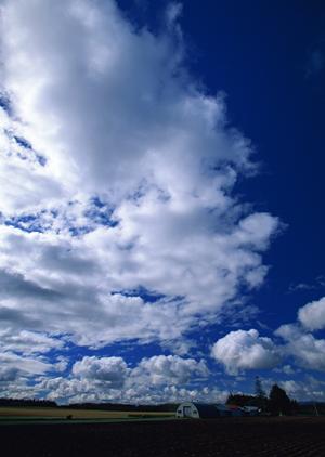 【詳細解説】さがみ典礼 元今泉|宇都宮市の信頼できる葬儀場とその特徴・利点