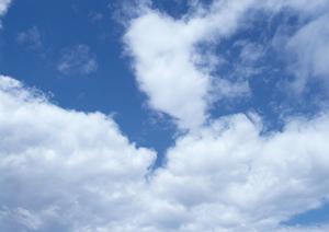 葬儀社が簡単に比較出来るサイト