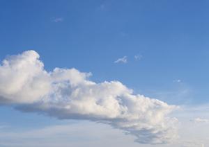 信頼と実績がある徳島の葬祭会社