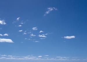 室内型で永代供養付きの浅草のお墓