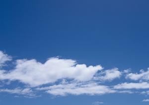 藤枝市で納骨場所を探すのであれば納骨堂