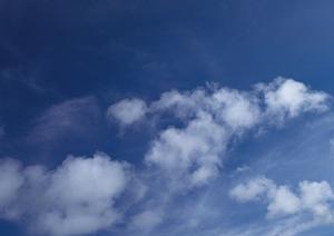 地元徳島の葬儀社で家族葬を依頼