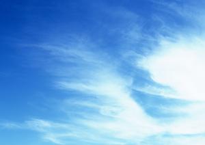 守口市でも選ばれているペット火葬