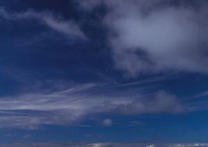 ペット火葬を安心・丁寧に行うための2025年最新ガイド