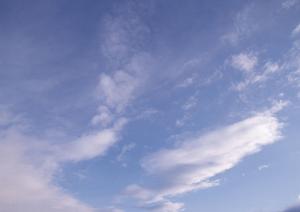 仏壇クリーニング専門の業者サイト