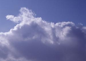 403 Forbiddenエラーの原因と対処法|ウェブサイトアクセス問題を解決するポイント