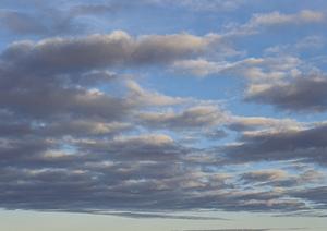 鹿児島で選ばれる家族葬のポイントと成功事例|信頼できる葬儀社のご案内