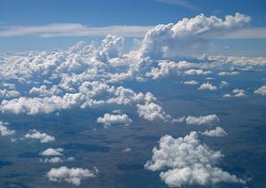 大阪に樹木葬に対応した霊園があります